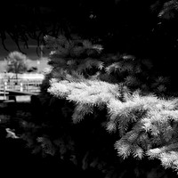 infrared-2018-random-2-n-l-as