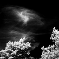 infrared-2018-random-8-n-l-as