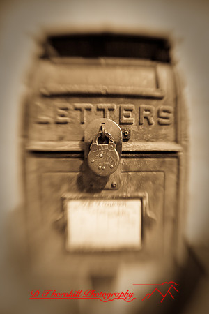 assorted_images-2009_76.jpg