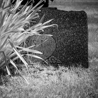 infrared-2018-random-016