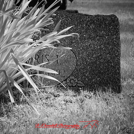 infrared-2018-random-016