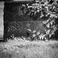 infrared-2018-random-014