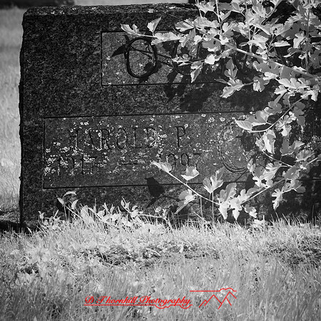 infrared-2018-random-014