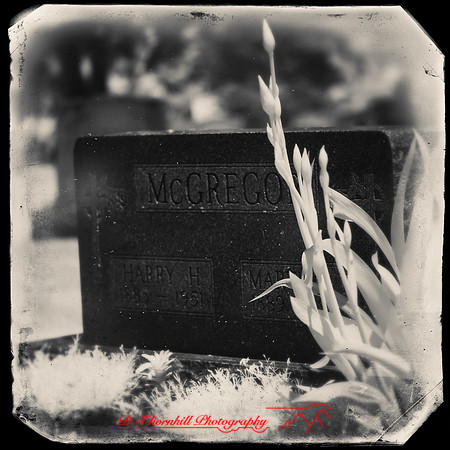 infrared-2018-random-019-n-l-as
