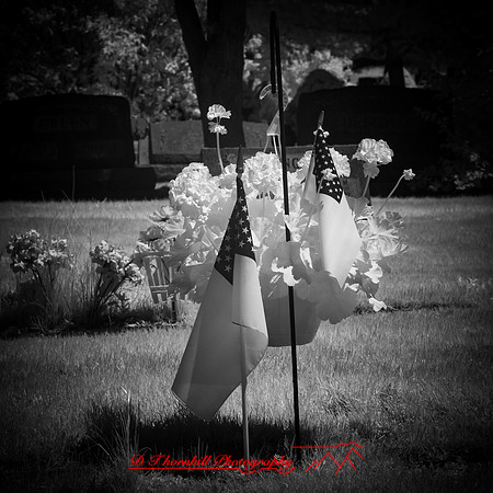 infrared-2018-random-020
