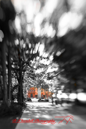 florida-2009-images_35.jpg
