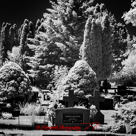 infrared-2018-random-026-n-l-as