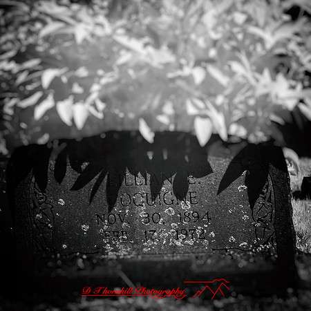 infrared-2018-random-023-n-l-as