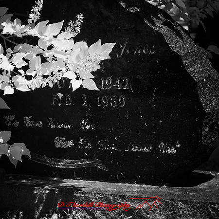 infrared-2018-random-030-n-l-as