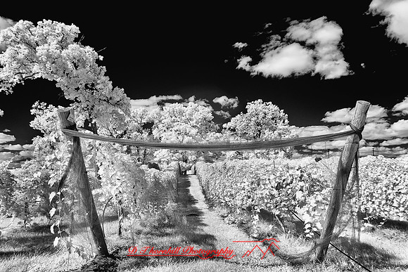 infrared-galesburg_il-2011-51-nas