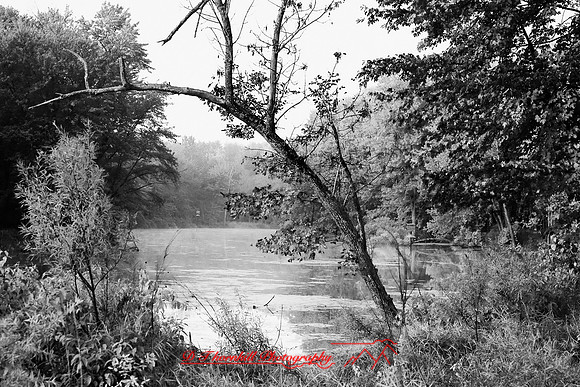 shiawasse_sept-2008_08-nik.jpg