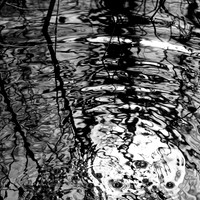 shiawassee assorted 2018-007