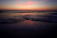 florida_images-2008_24.jpg