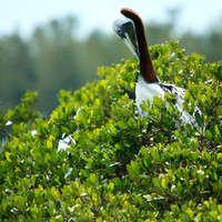florida-2013-images-099