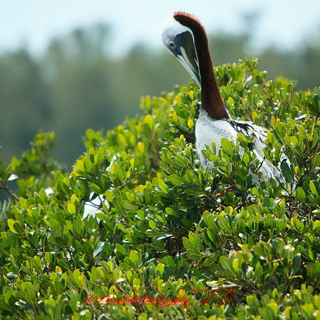 florida-2013-images-099