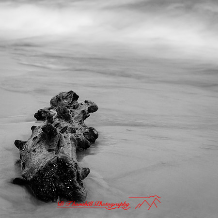 shadow-light-project-tawas-state-park-2014-019