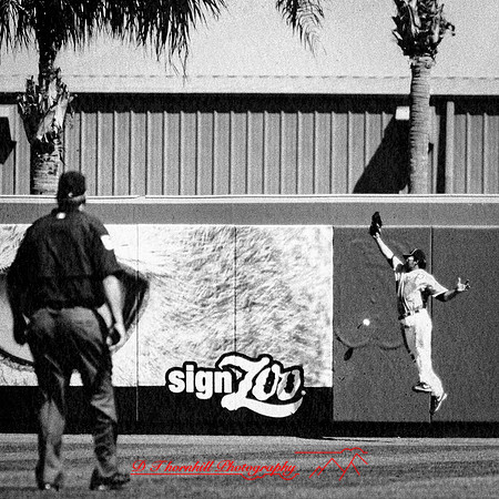 2018-FL-Spring Training 2011-015-n-l-as