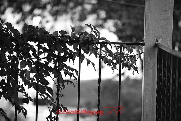 assorted-images-2006_029