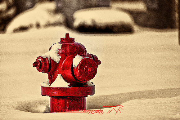 assorted_images-2012-031-nas
