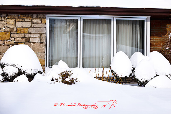 assorted_images-2012-030