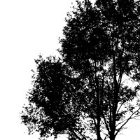 shiawassee assorted 2018-019-n-l-as