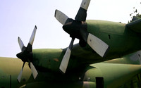 assorted-images-2006_018