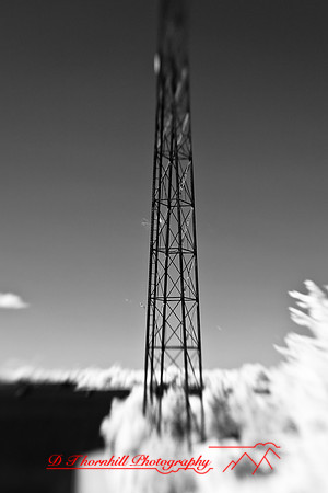 infrared-2009-bay-city_16.jpg