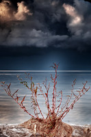 bay_city_state_park-2011-3-1_HDR