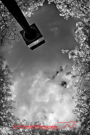 infrared-bay-city-2011-04