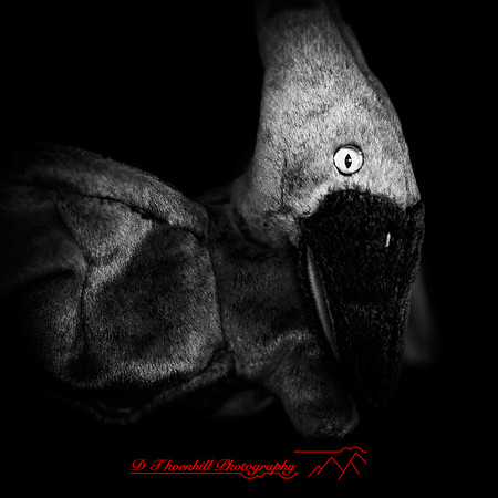 beanie babys-2019-007