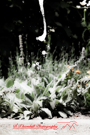 dow-gardens-2010_28