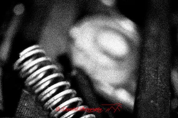 assorted_images-2011-188