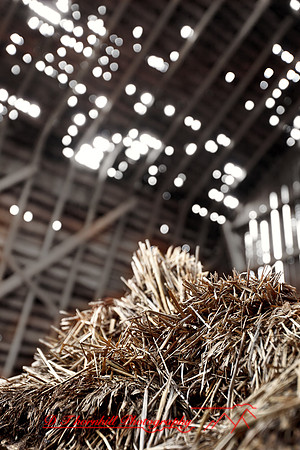 assorted_images-2011-65-nas