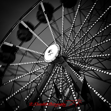 midland-county-fair-2018-007