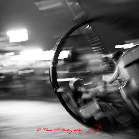 midland-county-fair-2018-009