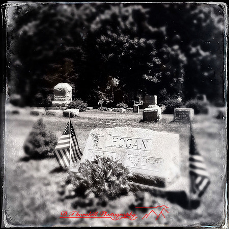 iPhones-2014-079