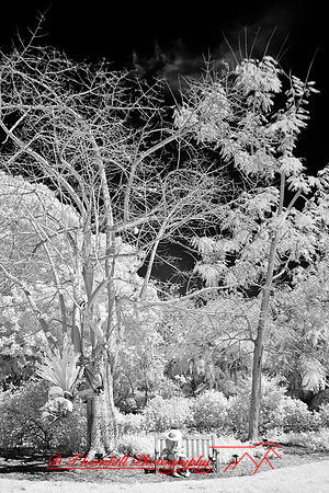 florida-2008-people-infrared_35.jpg