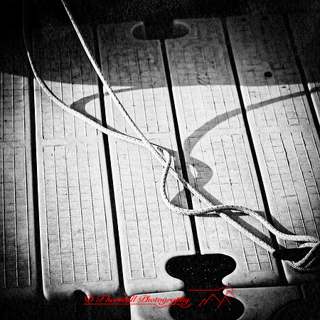 bay city-2018-random-003-n-l-as
