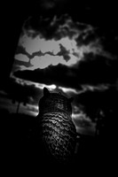 bay city-2018-random-009