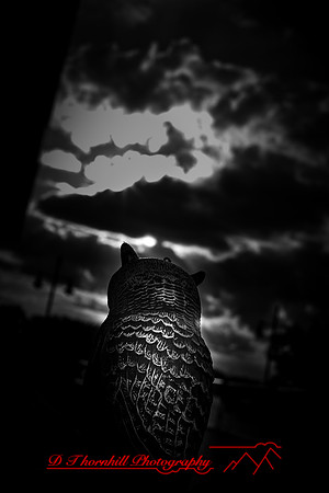 bay city-2018-random-009