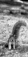bay city-2018-random-015_DxO