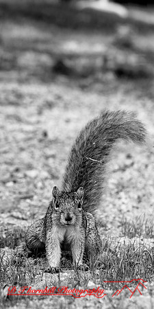 bay city-2018-random-015_DxO