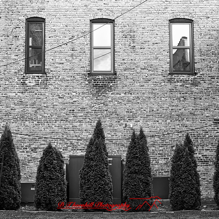bay city-2018-random-018_DxO