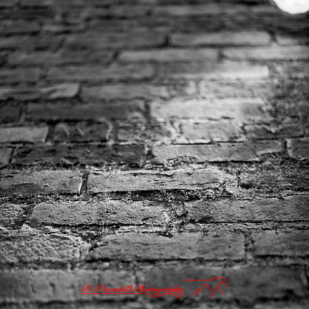 bay city-2018-random-020_DxO