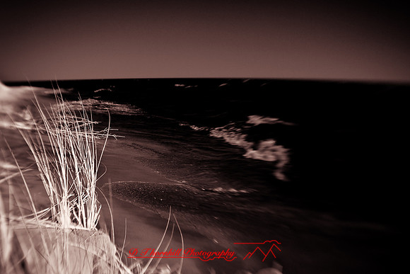 tawas-state-park-infrared-2009_06-nik.jpg