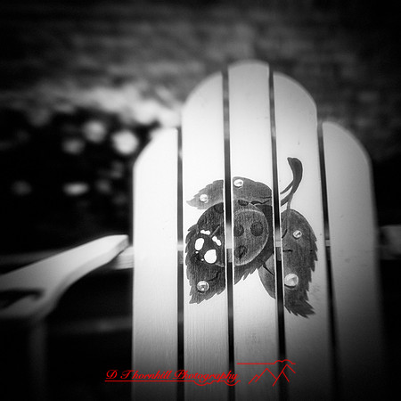 bay city-2018-random-022-n-l-as
