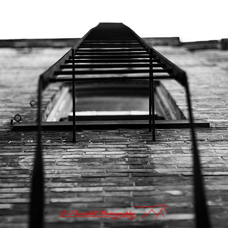 bay city-2018-random-029