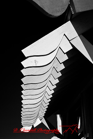 florida-2009-images-infrared_18.jpg