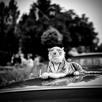 frankenmuth-car-show-2018-020_DxO
