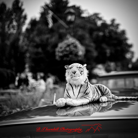 frankenmuth-car-show-2018-020_DxO